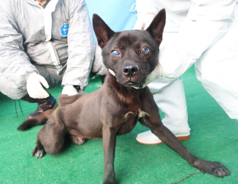 제주 동물보호센터_450650202403776