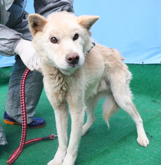 제주 동물보호센터_450650202403773