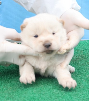 제주 동물보호센터_450650202403786
