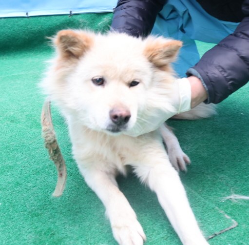 제주 동물보호센터_450650202403787
