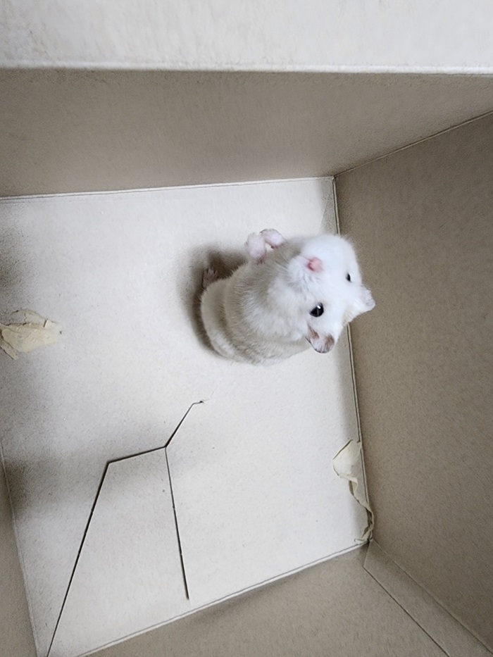 강현림동물병원_411320202400770