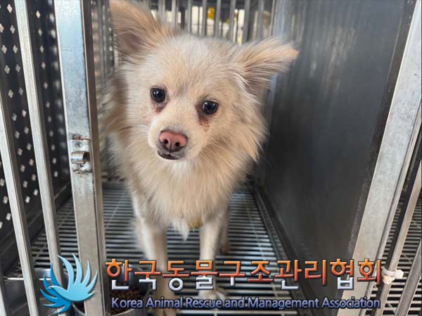 한국동물구조관리협회_441559202401452