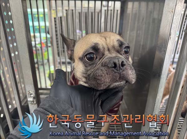 한국동물구조관리협회_411315202400711