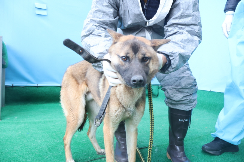 제주 동물보호센터_450650202403796