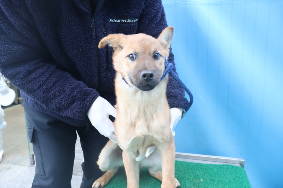 제주 동물보호센터_450650202403794