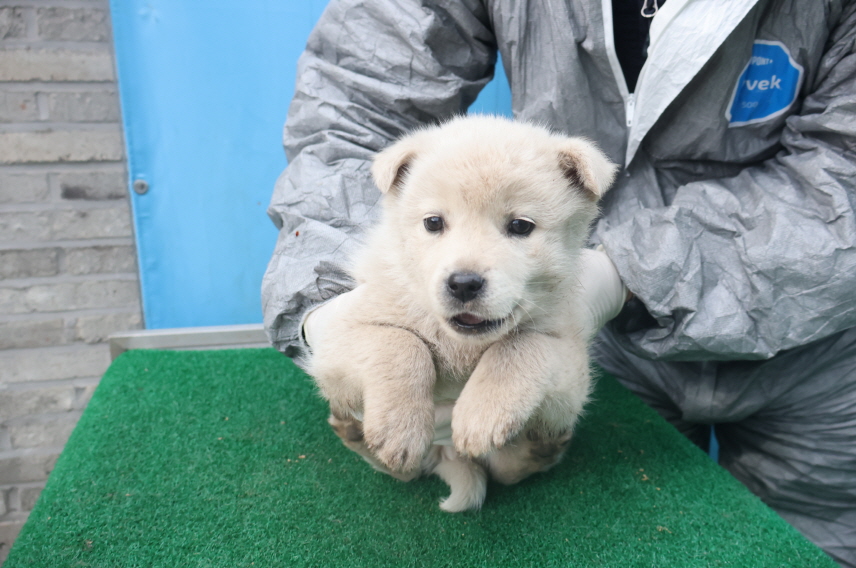 제주 동물보호센터_450650202403806