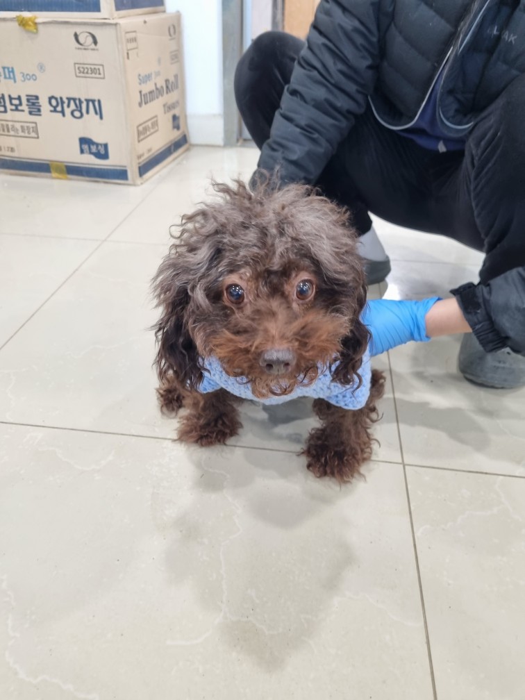 반려동물보호센터_443571202403337