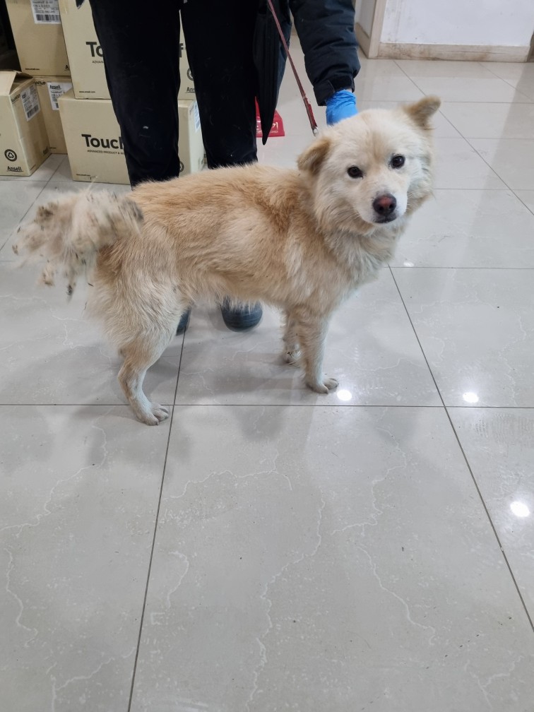 반려동물보호센터_443571202403338