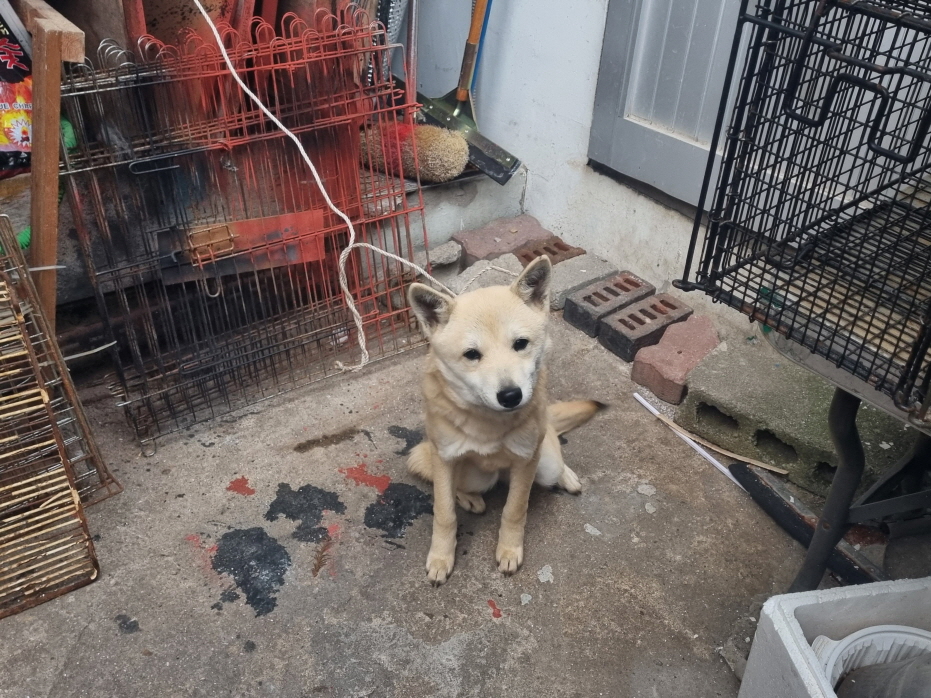 프렌즈동물병원_445464202403758
