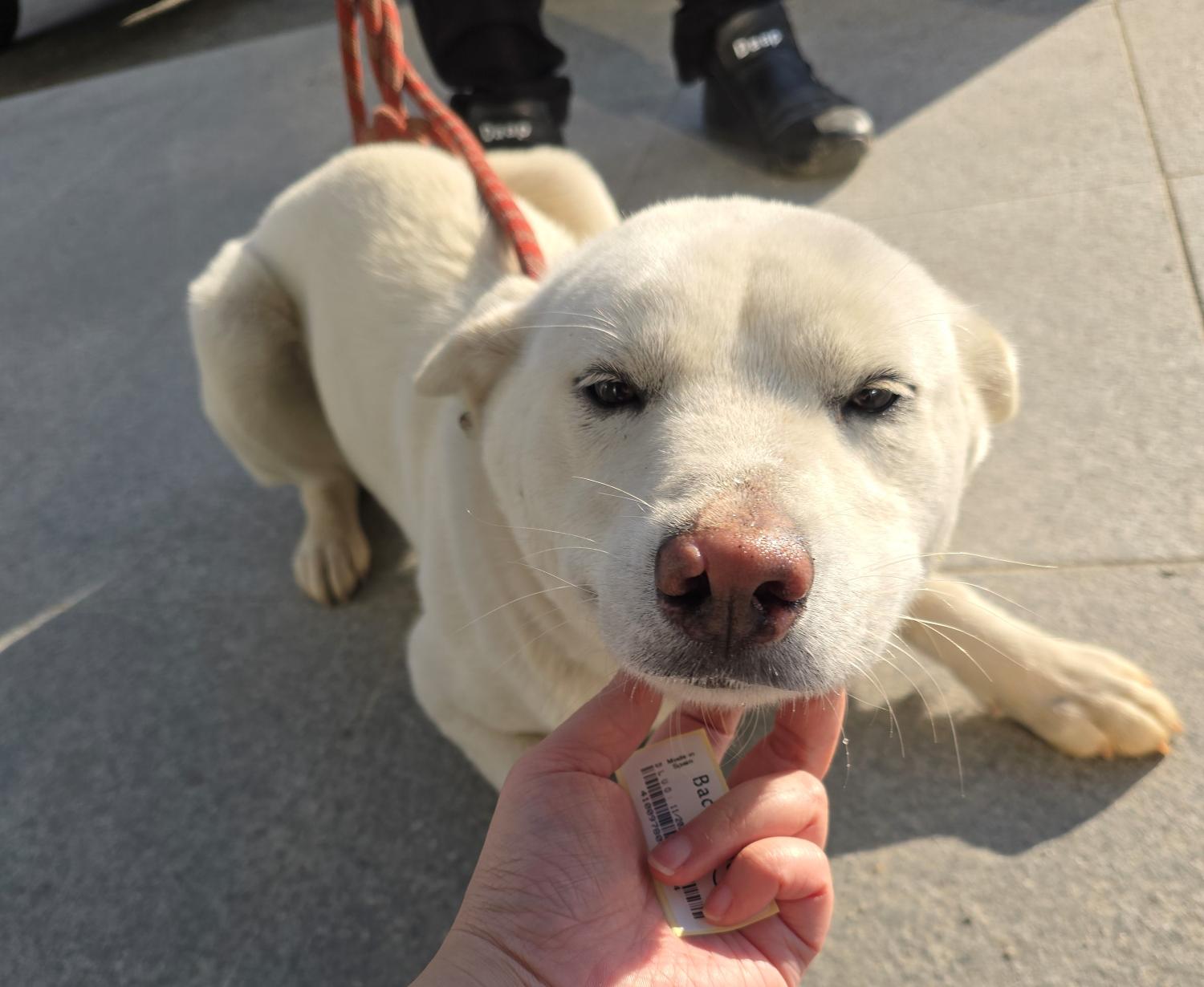 담양군 동물보호센터_446485202400841