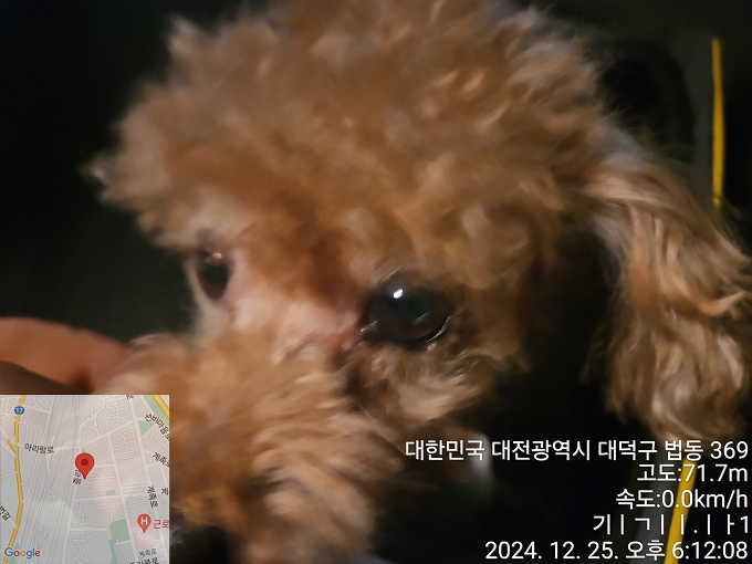 대전동물보호센터_430368202400647