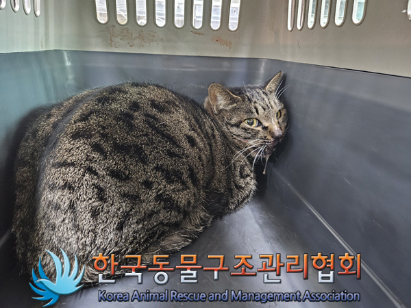 한국동물구조관리협회_411312202400952