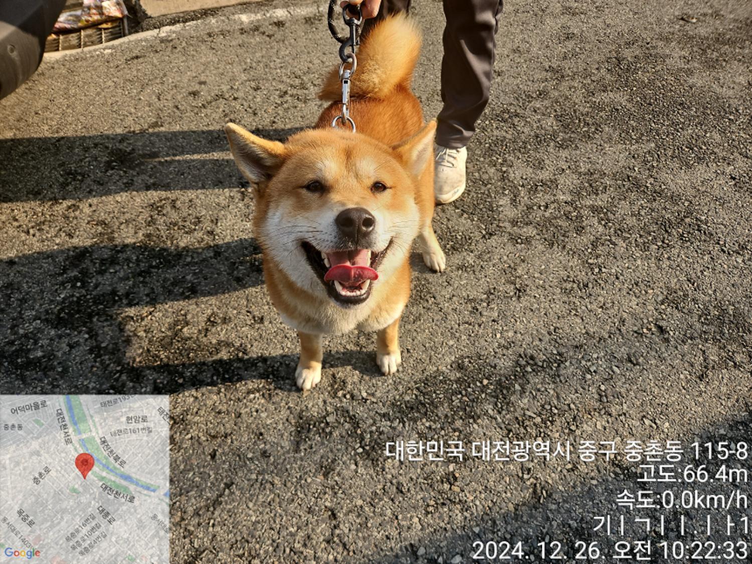 대전동물보호센터_430368202400648
