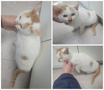 논산시 동물보호센터_444454202401309