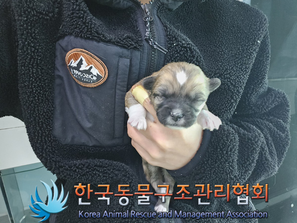 한국동물구조관리협회_441406202402256
