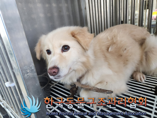 한국동물구조관리협회_441406202402251