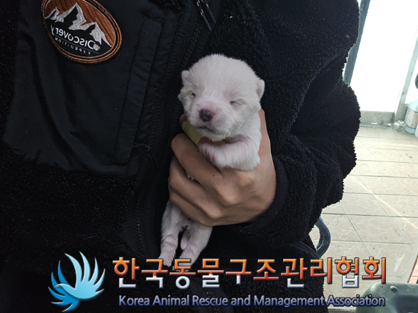 한국동물구조관리협회_441406202402257