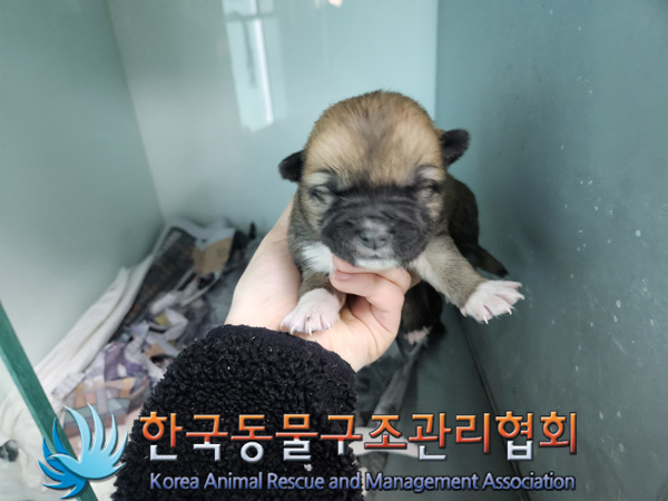 종료(자연사) 믹스…