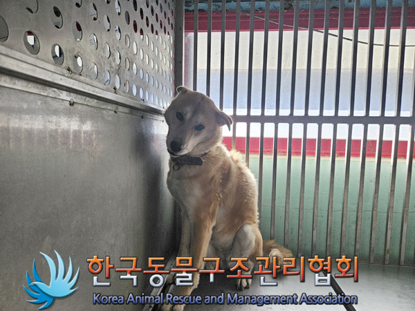 한국동물구조관리협회_441406202402252
