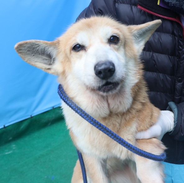 제주 동물보호센터_450650202403810