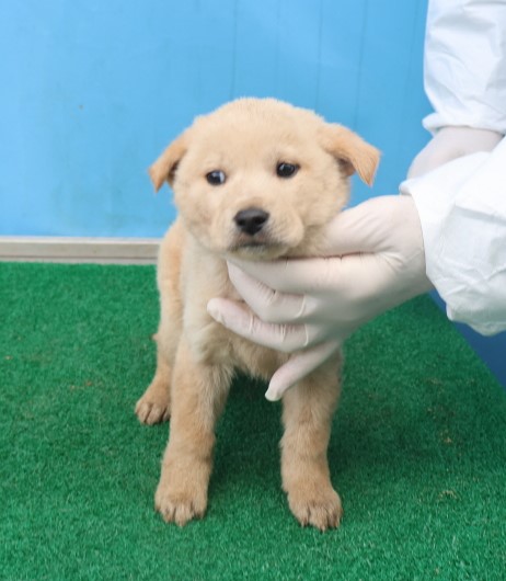 제주 동물보호센터_450650202403836