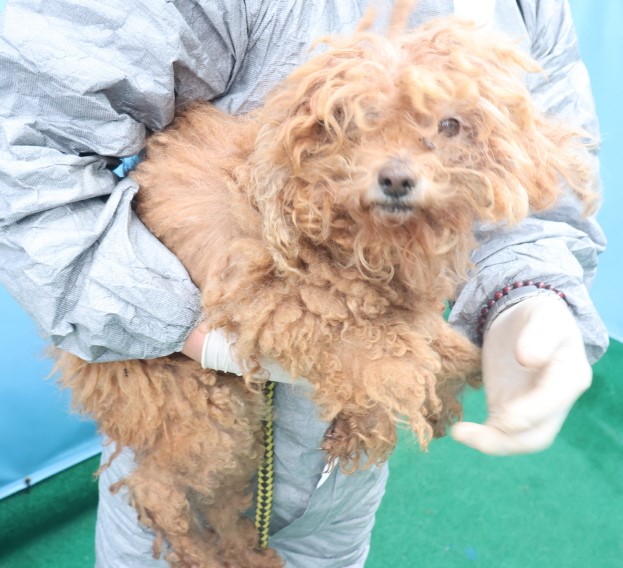 제주 동물보호센터_450650202403817
