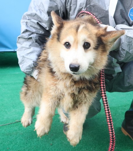 제주 동물보호센터_450650202403812