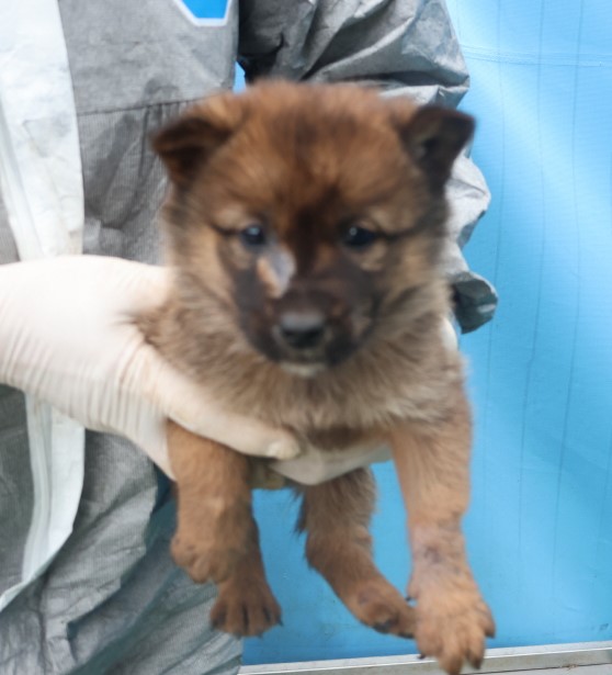 제주 동물보호센터_450650202403822