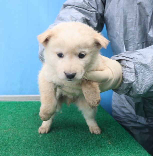 제주 동물보호센터_450650202403833