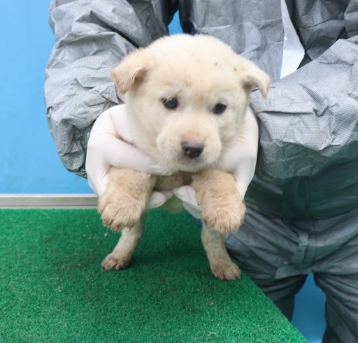 제주 동물보호센터_450650202403832