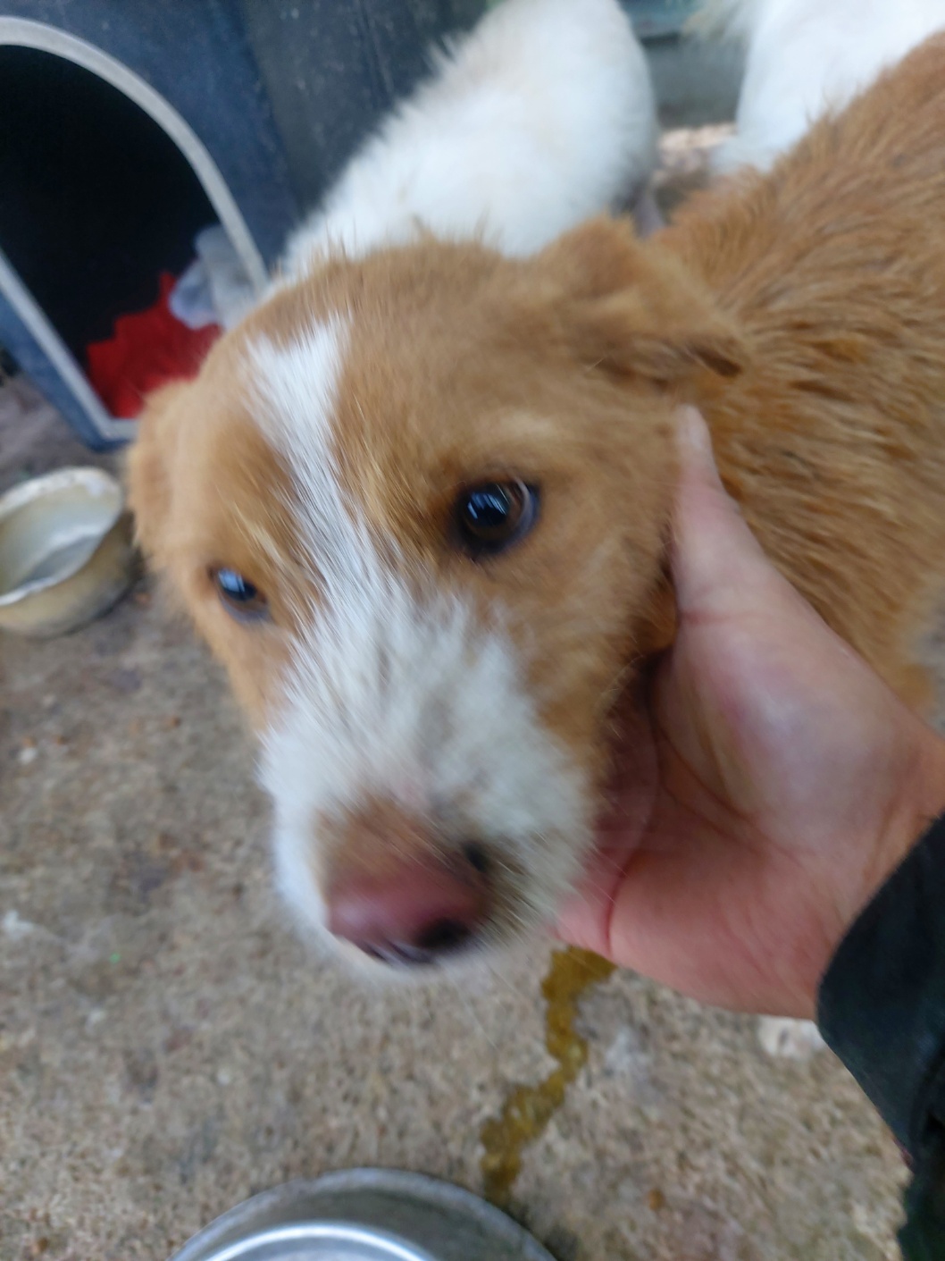 전북말산업복합센터_445471202400785