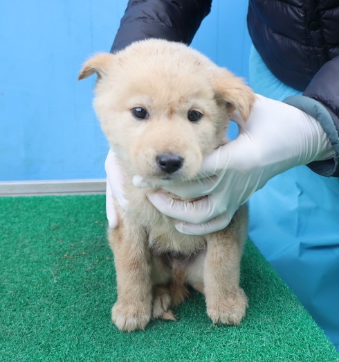 제주 동물보호센터_450650202403834
