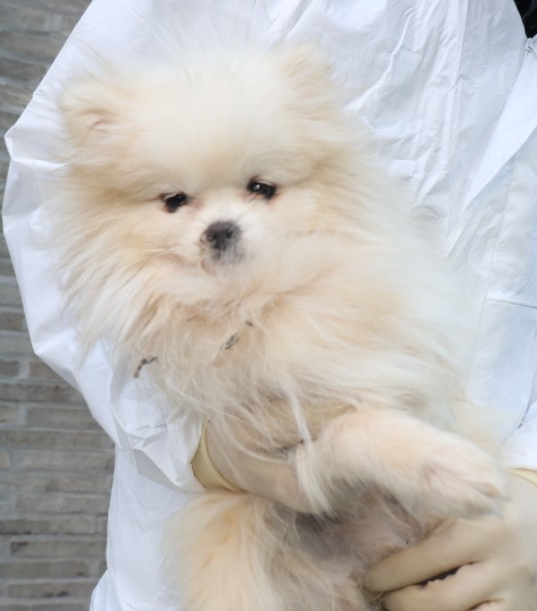 제주 동물보호센터_450650202403809