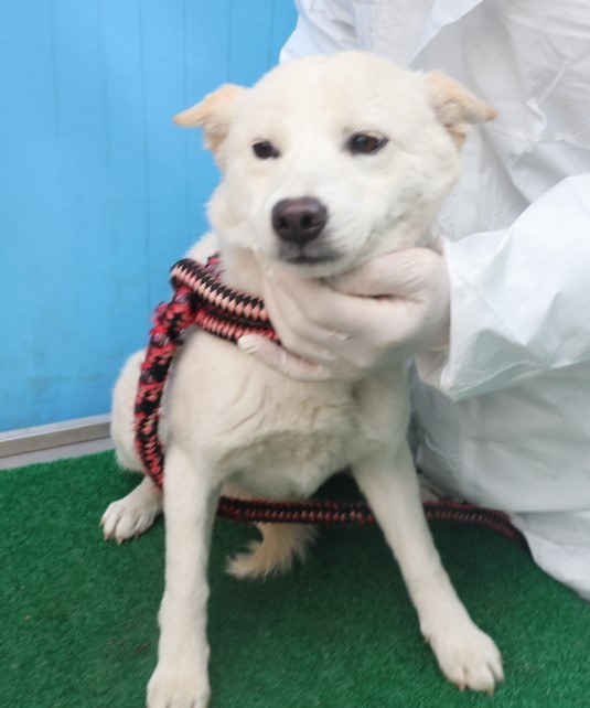 제주 동물보호센터_450650202403828