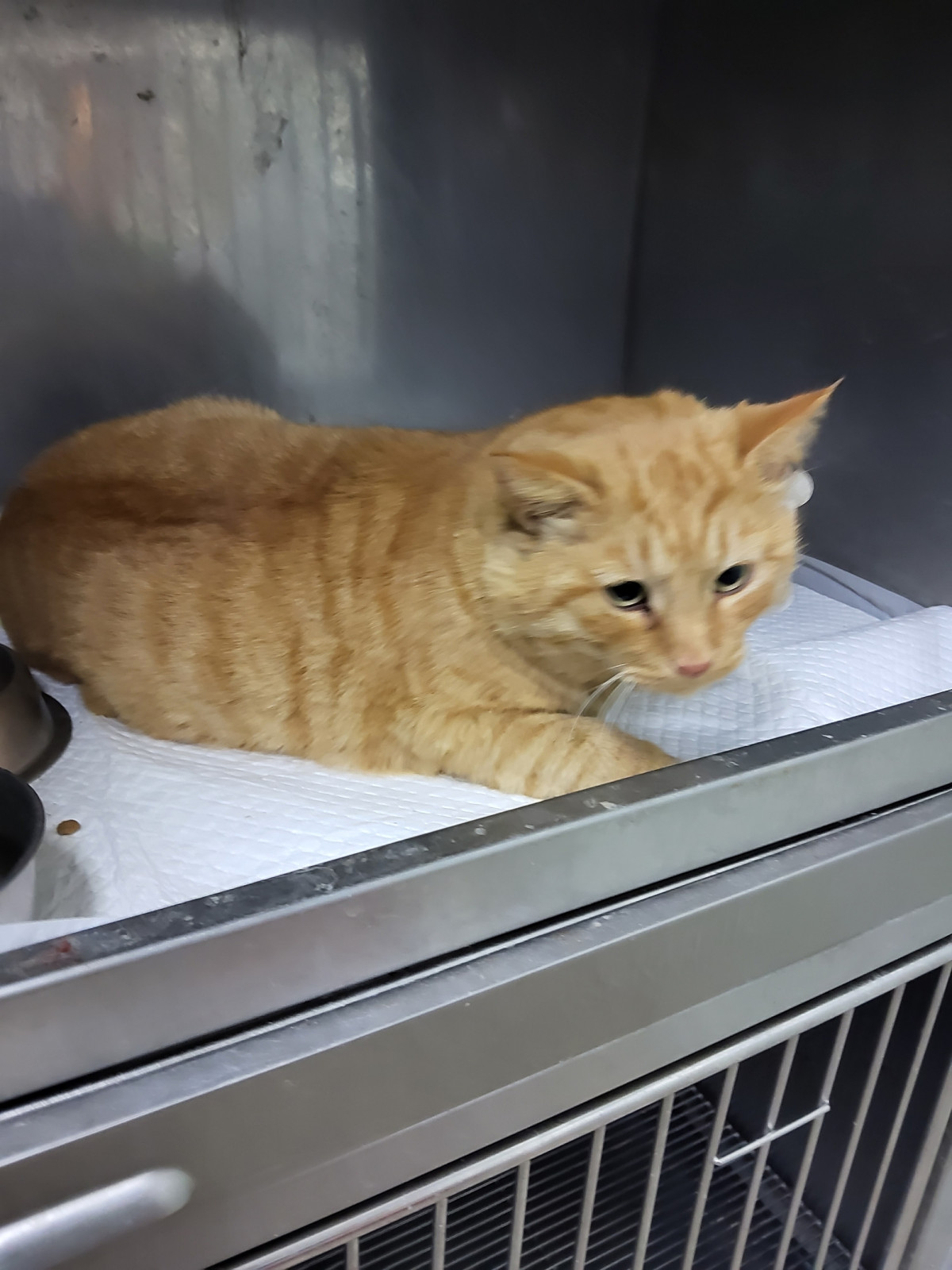 종료(방사) 한국 …