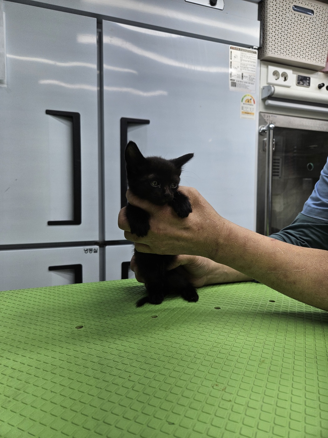 신공항동물병원_428349202401159