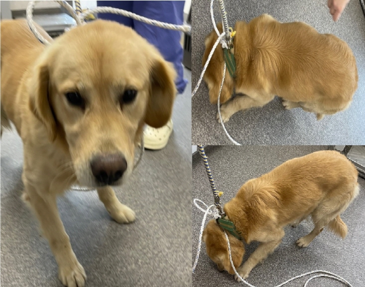 종료(반환) 라브라…