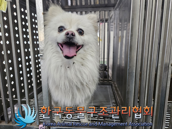 한국동물구조관리협회_441406202402269