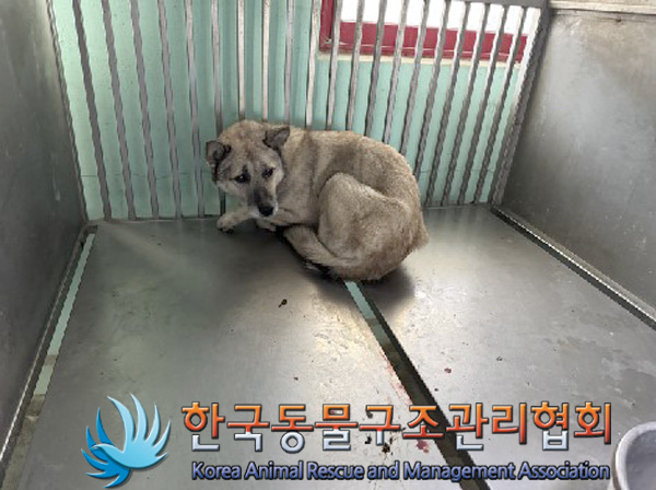 한국동물구조관리협회_441560202401477