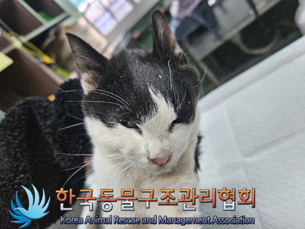 한국동물구조관리협회_441409202402041
