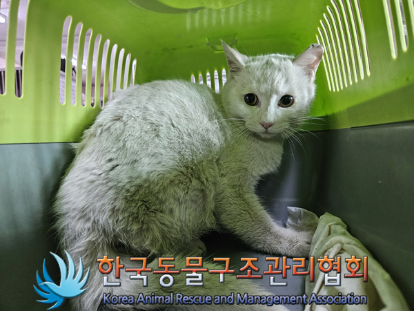 한국동물구조관리협회_441559202401456