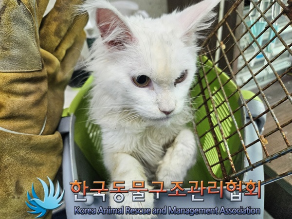 한국동물구조관리협회_411301202400654