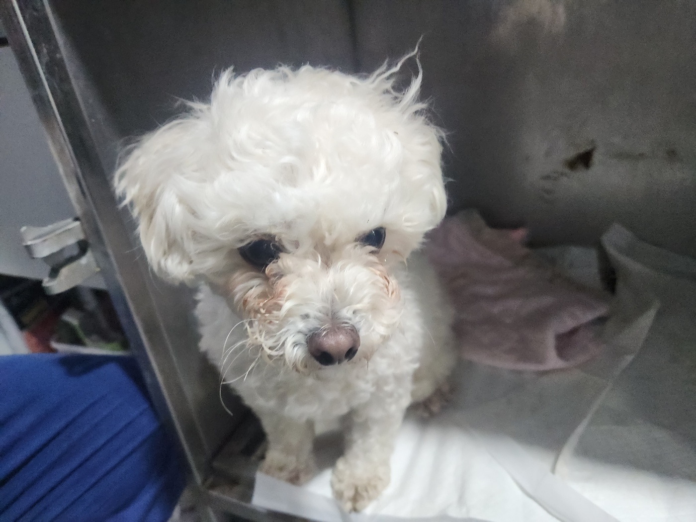 광주동물보호센터_429362202401089