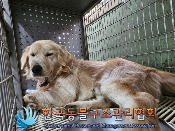 한국동물구조관리협회_441406202402274