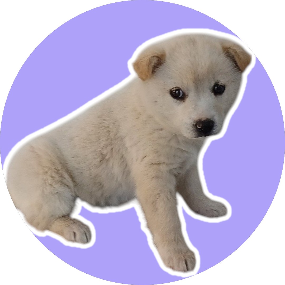 청도군동물보호센터_447519202400573