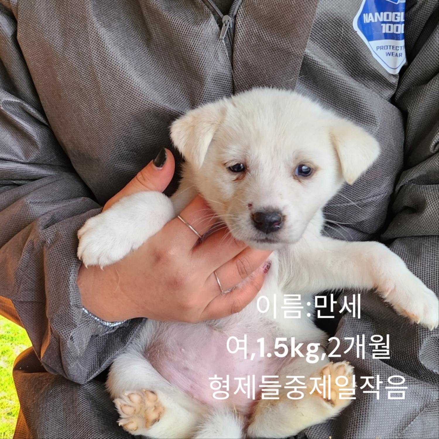 성주유기동물보호센터_447521202400722