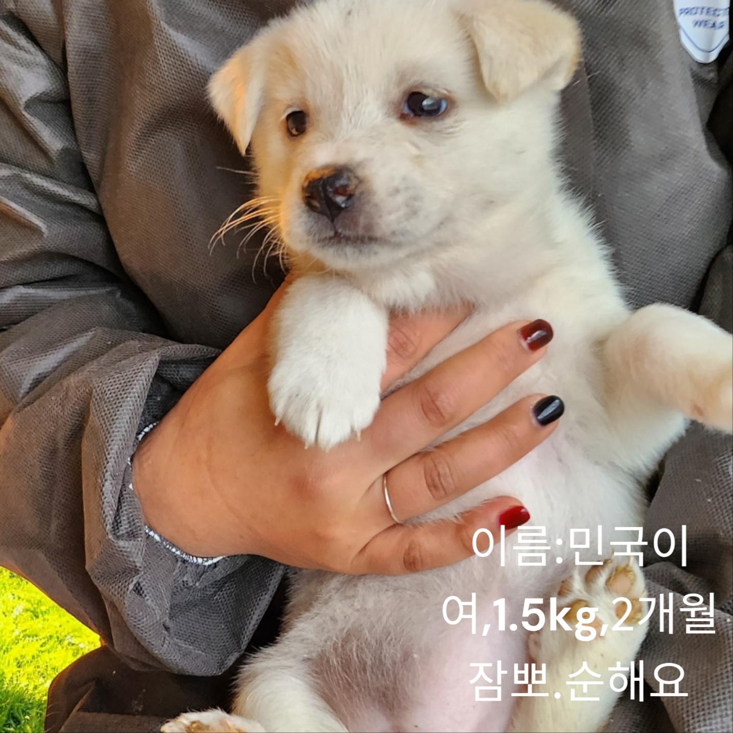 성주유기동물보호센터_447521202400721