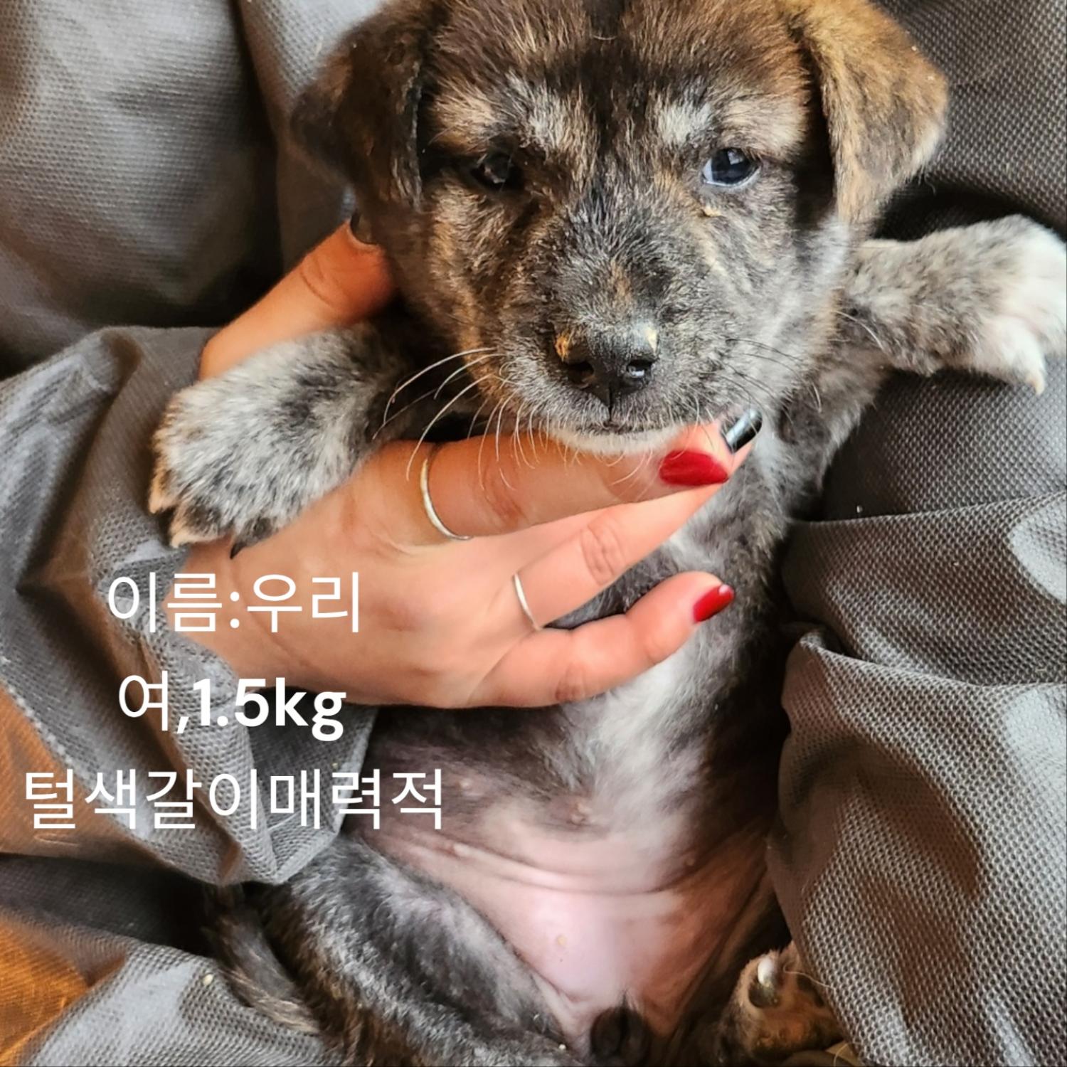 성주유기동물보호센터_447521202400718