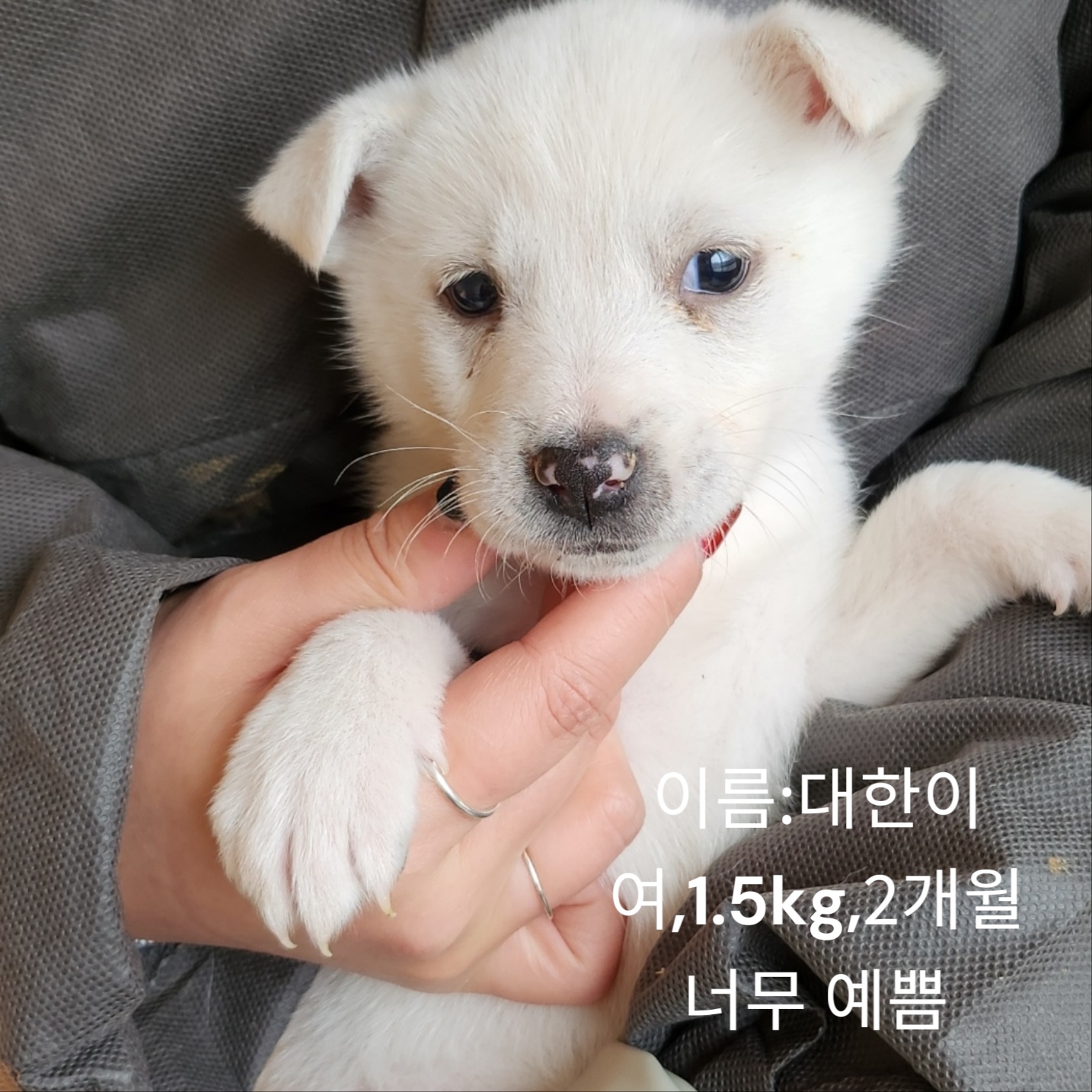성주유기동물보호센터_447521202400720