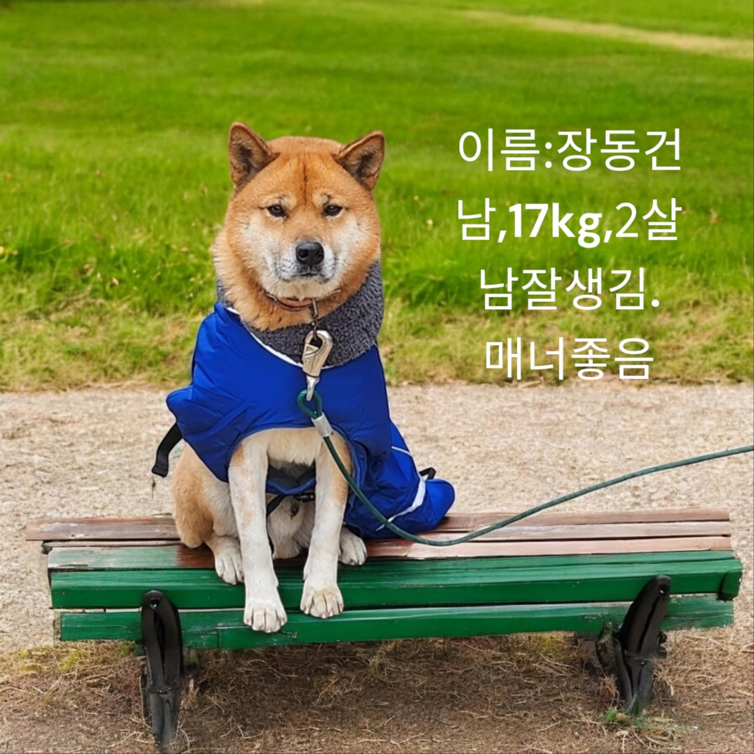 성주유기동물보호센터_447521202400723